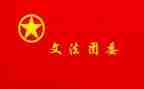 团委工作年度总结7篇