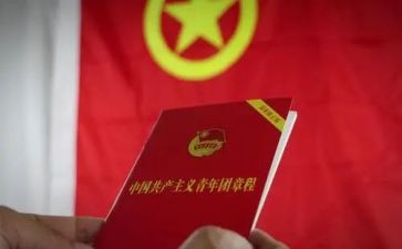 学团章心得体会5篇