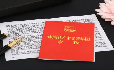 团章的心得体会7篇
