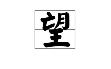 写我的愿望的作文模板6篇