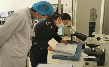 学校卫生室工作计划计划优质6篇