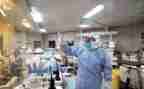 社区卫生半年工作总结5篇