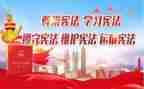 搜宪法小卫士心得体会5篇