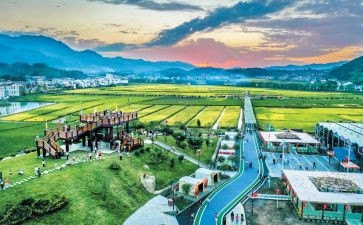 作文旅游的心得体会6篇
