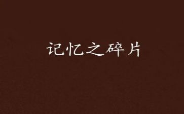 我记忆中的...作文模板6篇