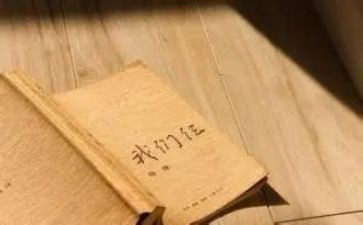 我们仨作文600字最新7篇