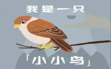 大树和小鸟中班教案5篇