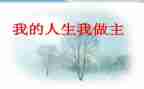 我的青春我做主作文模板5篇