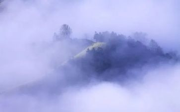 描写雾的作文500字优秀作文8篇