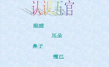 五官科个人总结7篇