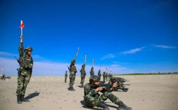2024武警述职报告6篇