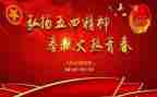 高校五四活动方案5篇