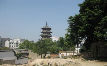 乌塔读后感作文8篇