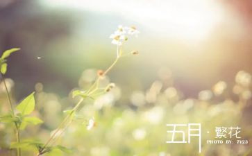 个人五月份工作总结5篇