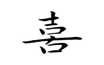 我最喜欢的动物作文300字5篇