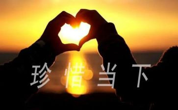 中班珍惜粮食的教案8篇