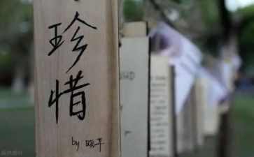 珍惜工作心得体会6篇