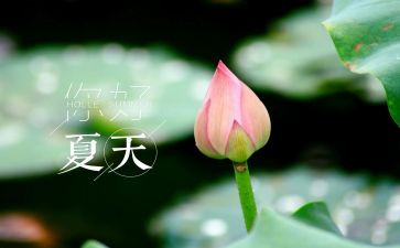 仲夏作文模板5篇