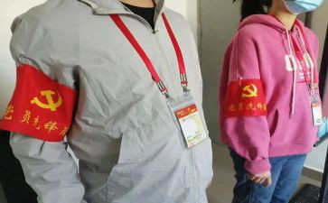 党员先锋岗队事迹材料8篇