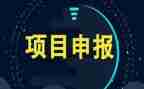 项目月工作总结报告5篇