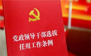 乡镇干部的个人述职报告7篇