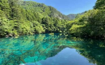 先生读后感通用7篇