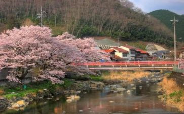 先生读后感模板8篇