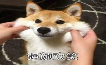 笑对人生600字作文7篇