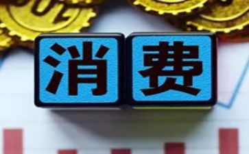 消费的调查报告范文5篇