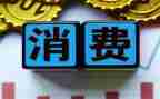 消费的调查报告范文5篇