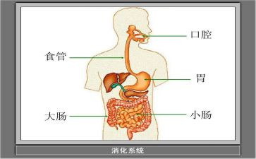 消化内科的自我鉴定7篇