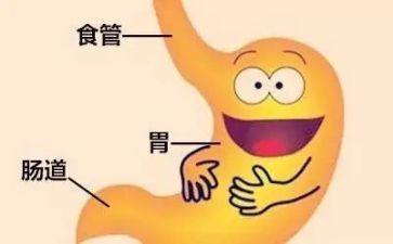 消化科心得体会8篇