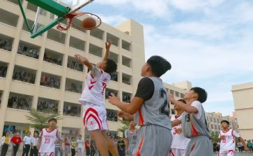 学校活动的总结5篇
