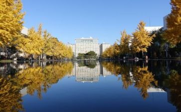 校内教育实习工作总结5篇