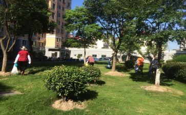 小区物业管理情况的调查报告7篇