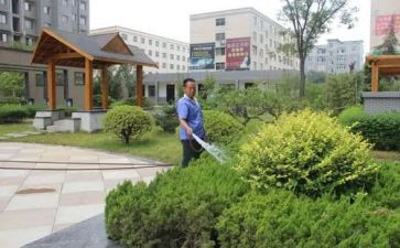小区物业管理方案范文5篇