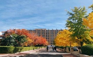 校园生活类的作文600字6篇