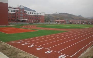 校园跑的心得体会1000字6篇
