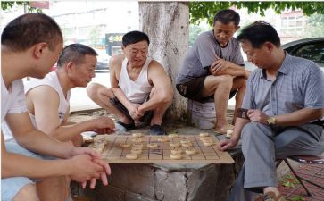 关于下棋作文5篇