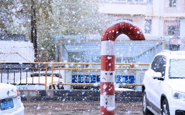 下雪的作文500字5篇