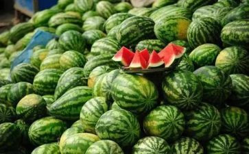 切西瓜游戏小班教案7篇