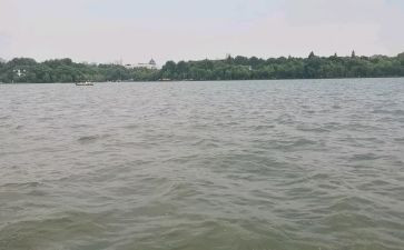 西湖的优秀作文模板8篇