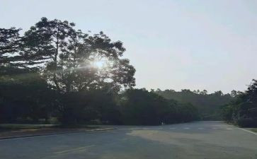 新的一年,新的开始演讲稿6篇
