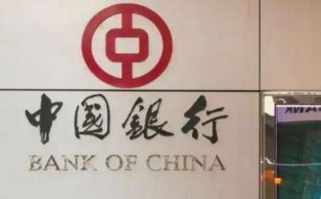 县支行副行长述职报告7篇