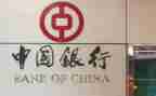 县支行副行长述职报告7篇
