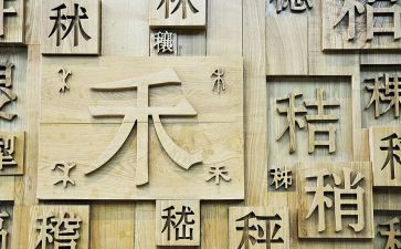 形近字作文两百字参考5篇