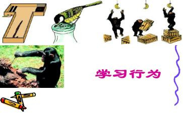 行为规范演讲稿通用5篇