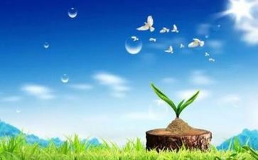 教师心理课心得体会最新8篇