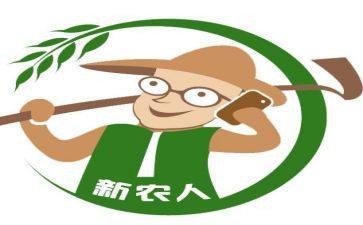 建设新农村调查报告范文8篇