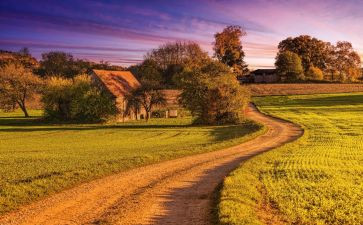 欣赏物的作文600字5篇